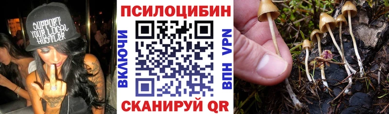 МЕГА ССЫЛКА  Северская  Псилоцибиновые грибы Psilocybe 
